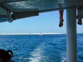 P3100098.jpg