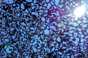 039-Stevns Klint.jpg