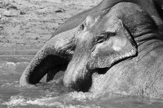 ZOO-15.jpg