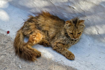 027-Greece.jpg