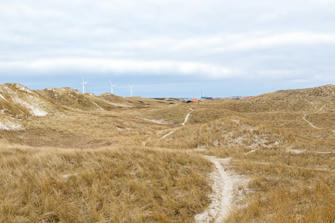 028-Denmark.jpg