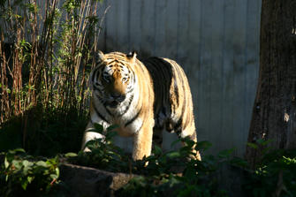 IMG_1769.JPG