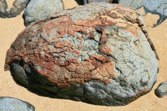 098 plage de la perle.jpg