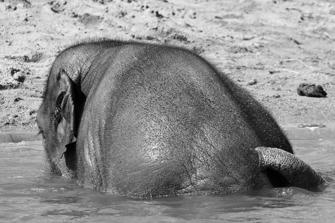 ZOO-6.jpg