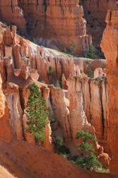 183 Bryce Canyon.jpg